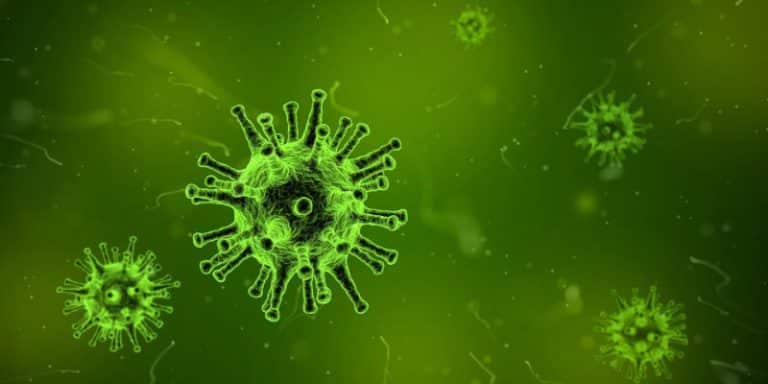 La OMS se reúne de urgencia por el contagio entre humanos de coronavirus