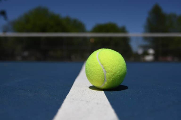 Djokovic gana su 15 Grand Slam con el Open de Australia 2019