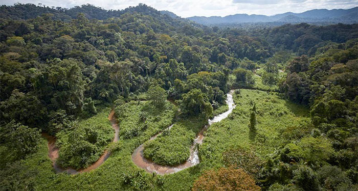 Descubren en la selva de Honduras las ruinas de una civilización perdida