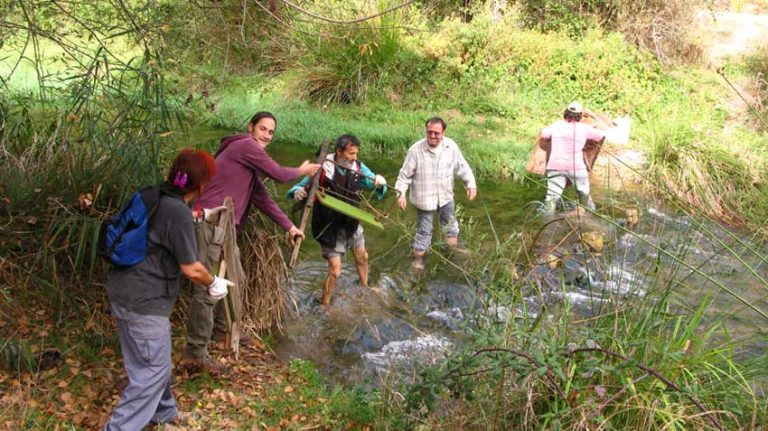 ¿En qué consiste el Programa de “Playas, ríos, voluntariado y custodia del territorio” de la Fundación Biodiversidad?